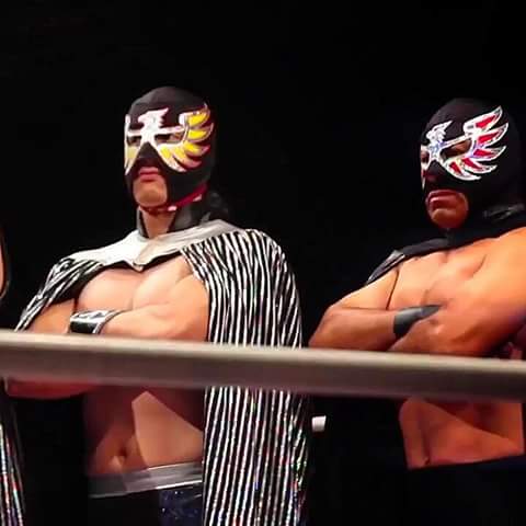 File:Aguilas Solitarias 3.jpg