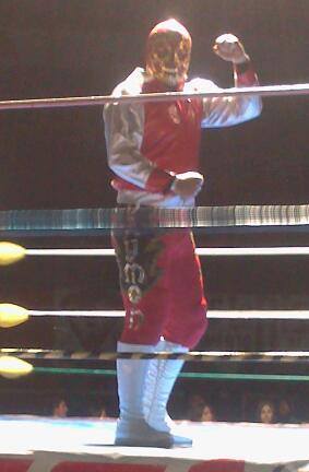 File:Daymon (Laguna) 2017.jpg