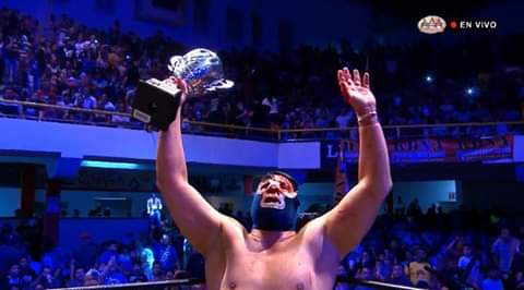 File:Blue demon copa perro Aguayo.jpg