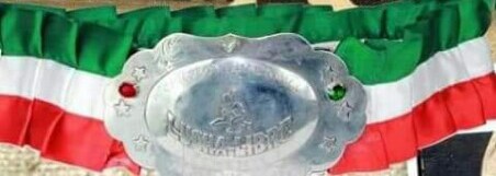 File:Mex nat Women's title 50s belt.jpg