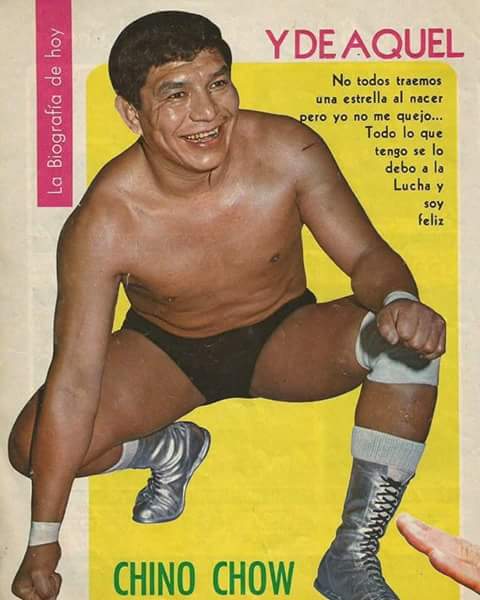 File:Chino chow 1.jpg