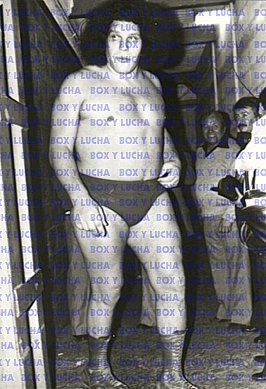 Andre The Giant