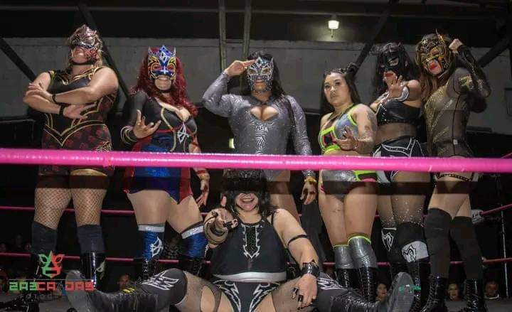 File:Royal rumble Femenil .jpg