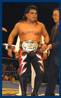 File:Cmllsl virus.jpg