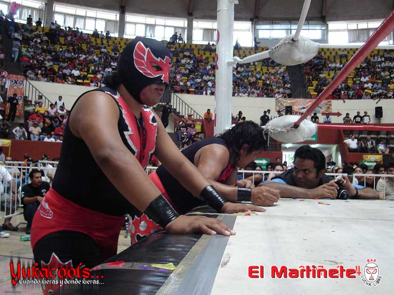 File:Halconrojojr lobo salvaje 2007.jpg