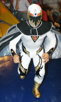 File:Mascaritadorada.jpg