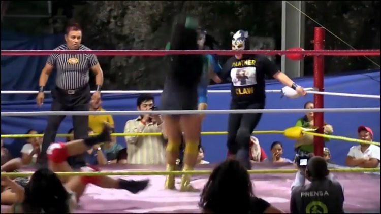 File:Panther Claw 5.jpg