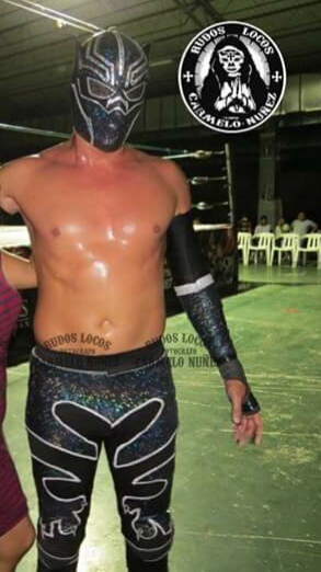 File:Black Puma Argentina.jpg