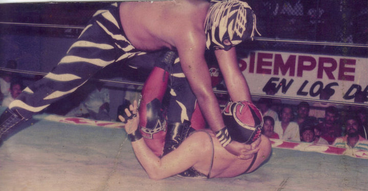 File:2 CEBRA JR 21 SEP 2010 RINDIENDO A KEMPIS.jpg