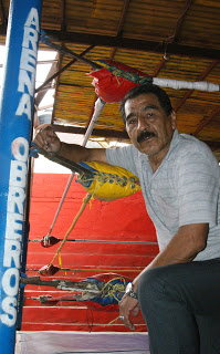 Costeñito Moy