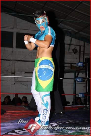 File:Davinha flag.jpg