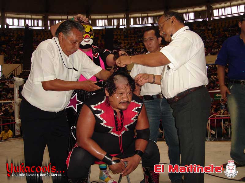 File:Halconrojo 2007.jpg