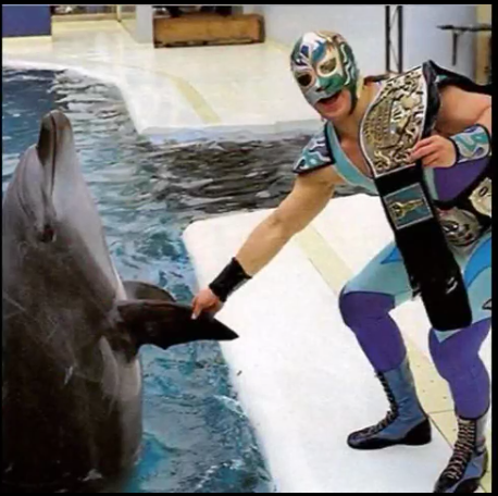 File:Screenshot 2017-09-25-21-28-26~01.png