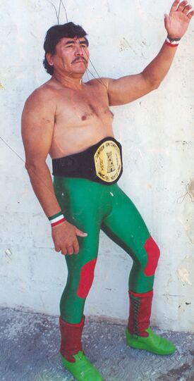 Rayo de Sinaloa (1989-1995)