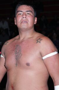 Guerrero Mixtico Jr. - Luchawiki