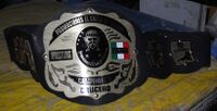 championship belt