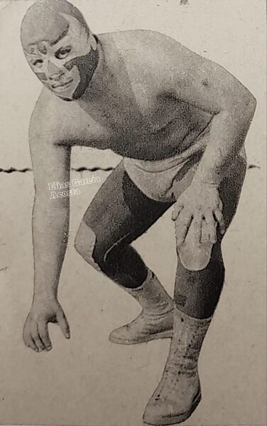 File:312632279 161029123229669 3958129226713948960 n.jpg