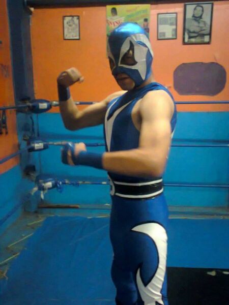 File:Centinela (Mexico City, 2008) 2016.jpg