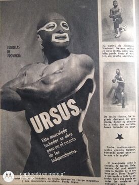 Ursus