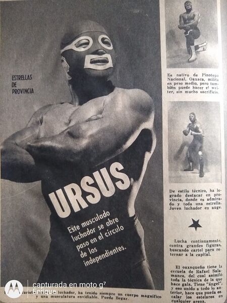 File:Ursus000001.jpg