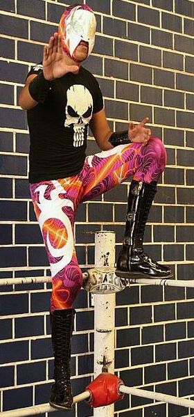 File:Kastigador DTU.jpg