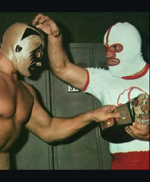 File:Destroyerymil.png