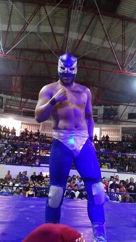 Nieto de Lizmark