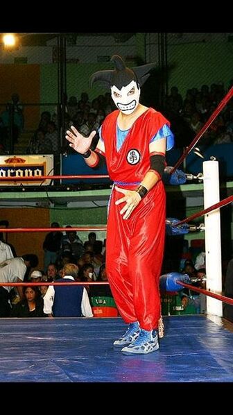 File:Goku Arena Coliseo .jpg