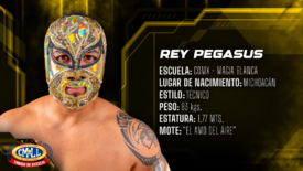 Rey Pegasus