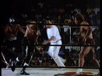 rayo y mil in action