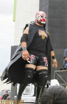 Siniestro de Durango