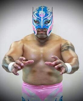 Hijo de Rey Misterio IV